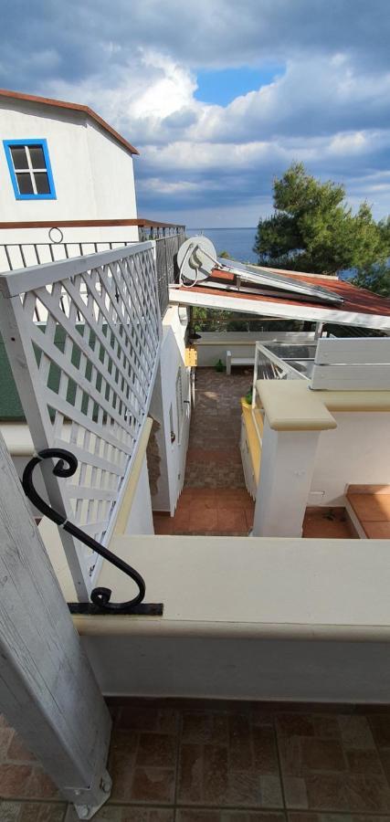 Casa Vacanze "Il Carrubo" Gagliano del Capo Eksteriør billede