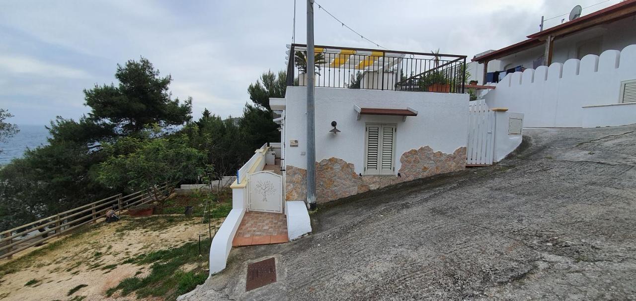Casa Vacanze "Il Carrubo" Gagliano del Capo Eksteriør billede